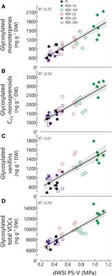 Water deficit before veraison is crucial in regulating berry VOCs concentration in Sangiovese grapevines